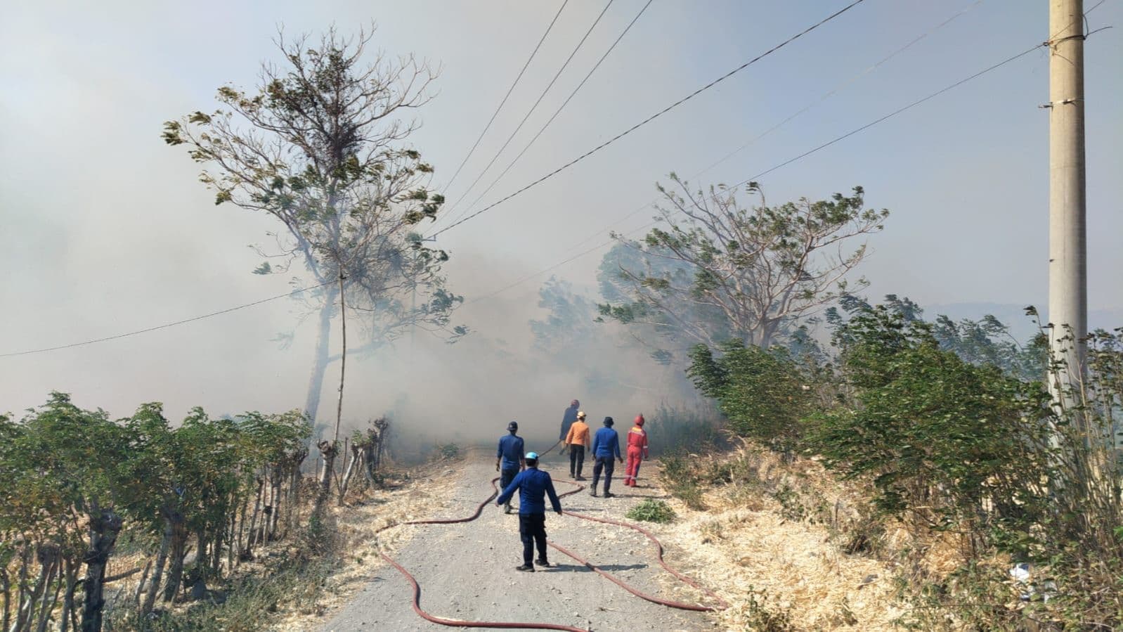 Ilustrasi Karhutla. (Foto: BNPB)