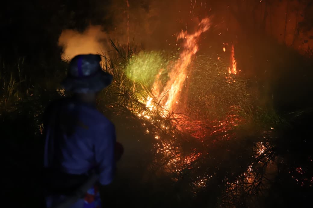Petugas Berpacu Menjinakkan Api di Palembang. (Foto: BNPB)