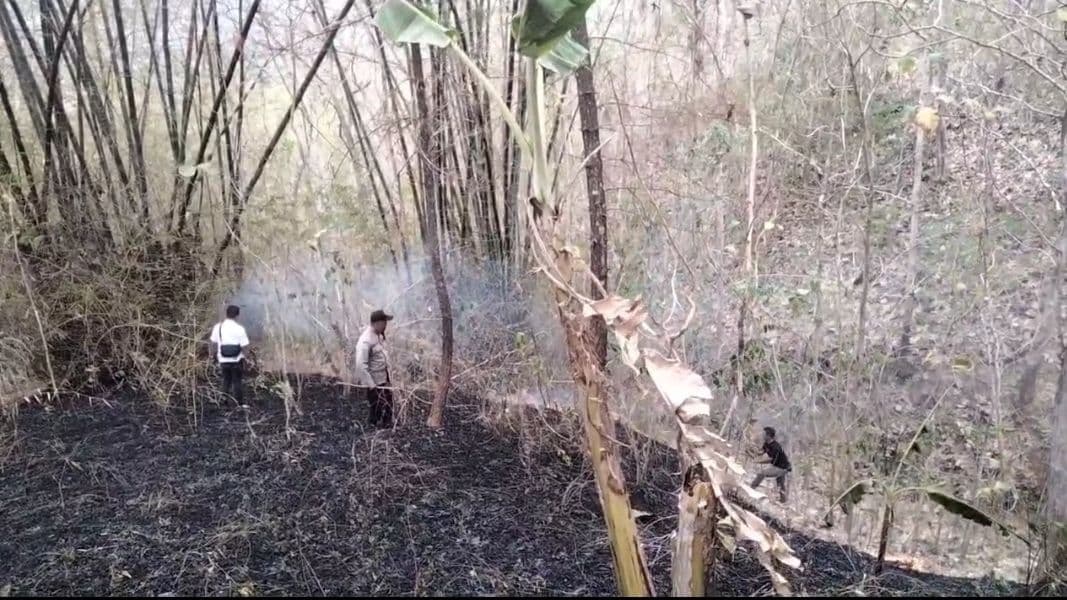 Petugas segera merespon laporan warga adanya karhutla di Desa Ngadirenggo, Kecamatan Pogalan, Kabupaten Trenggalek, Jawa Timur, Rabu (7/10). (Foto: BPBD Kab. Trenggalek)